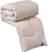 Silk Quilts Warm Winter Duvet Insert Quilted Bed Comforter King Queen Full Twin Size