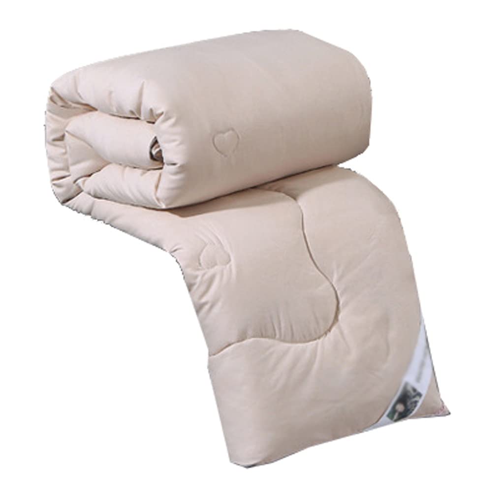 Silk Quilts Warm Winter Duvet Insert Quilted Bed Comforter King Queen Full Twin Size