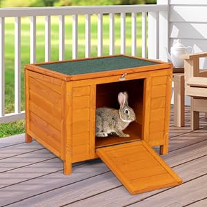 Fashion Wooden Small Animal House, Stable Outdoor Rabbit Hutch Weatherproof