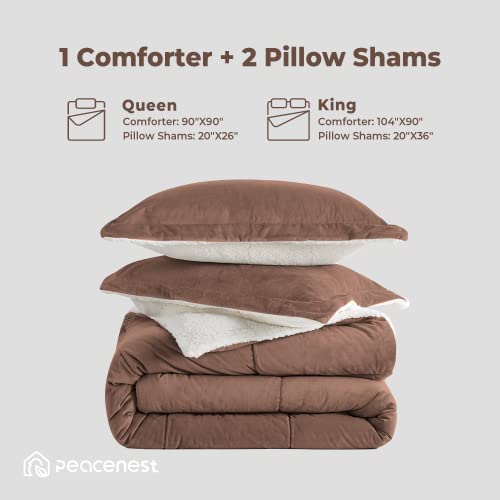 Sherpa Comforter Set Queen, Winter Warm Comforter Queen Size Ultra Soft Fuzzy Plush