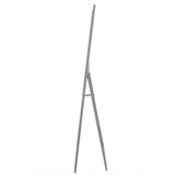Basics DM47799 Full Length Mirror, 11" x 47", Grey