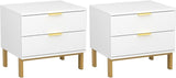 Modern Nightstand with 2 Storage Drawers