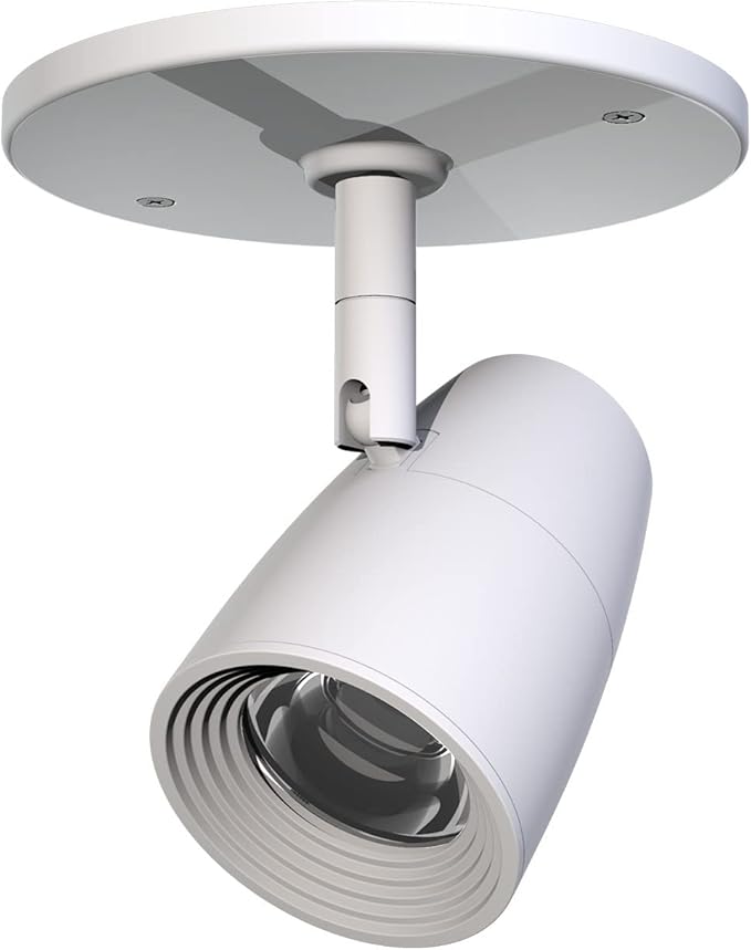 Modern Spotlight, Indoor Accent monopoint Lighting Fixture, 10W 3000K for Bookshelf