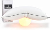 Feather Down Pillows King Size Set of 2, Luxury Hotel Collection Bed Pillow 2 Pack