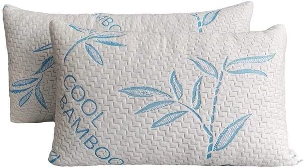Queen Size 2 Pack Rayon Made from Bamboo Pillows for Sleeping