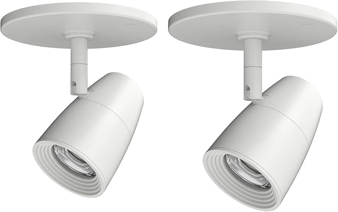 Modern Spotlight, Indoor Accent monopoint Lighting Fixture, 10W 3000K for Bookshelf