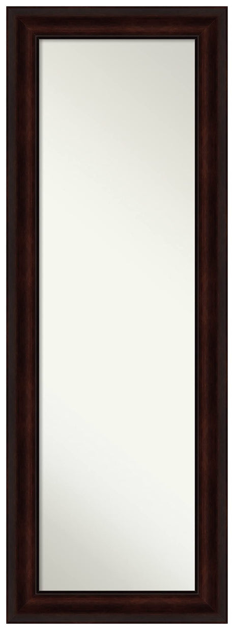 Door Wall Mirror, Full Length Mirror (53.25 x 19.25 in.), Coffee Bean Brown Full Body