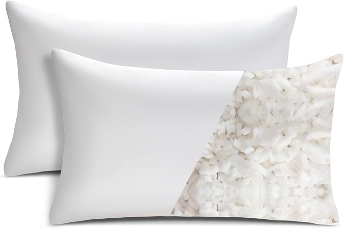 18x18 Pillow Inserts Set of 2, White Throw Pillow Insert 2 Pack