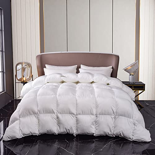 Down Alternative Comforter Queen Size, Winter Warm Duvet Insert Fluffy Bed Comforter