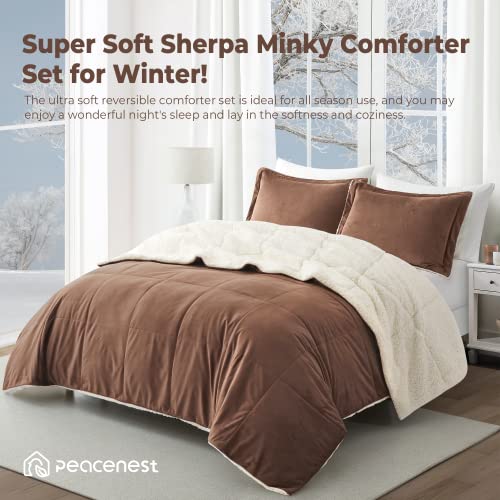 Sherpa Comforter Set Queen, Winter Warm Comforter Queen Size Ultra Soft Fuzzy Plush