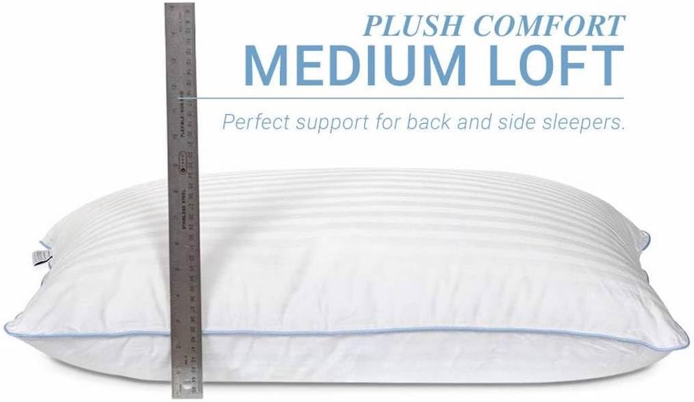 eLuxurySupply 4-Pack Premium Bed Pillows - Medium Density and Medium Loft Ideal for Back and Side Sleepers - 100% Cotton Casing - 20"X28" Standard/Queen Size