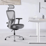 Q1 Ergonomic Office Chair with Back Support - Adjustable Home Office Desk Chair