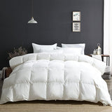 Lightweight Down Feather Fibers Comforter Full/Queen Size, Fluffy Duvet Insert for Warm