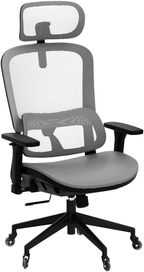 resiova Office Chair Ergonomic Computer Chair,High Back Mesh Chairs,Computer Chair with Lumbar Support and Retractable Armrests,Swivel Mesh Office Chair for Home Office and Study,Grey