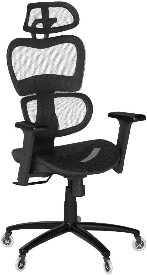 Ergo3D Ergonomic Office Chair Lumbar Support Mesh Office Chair with 4D Adjustable