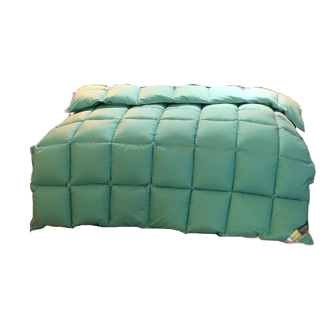 Cotton Duvet/Quilt Thickened Warmth Quilt Core Feather Velvet/White Goose/Duck
