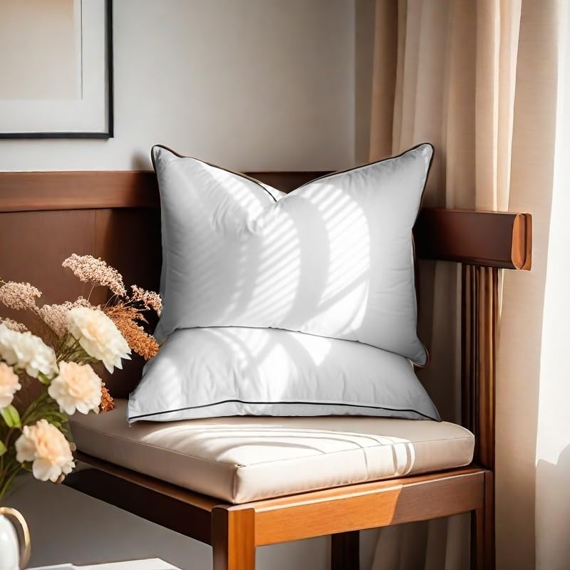 Down Pillow,Premium Goose Down Pillows Queen Size Set of 2 for Neck Pain Relief