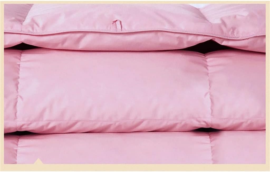 White Goose Down Filler/Filling Queen Size Cotton Thickening and Warming Four Seasons