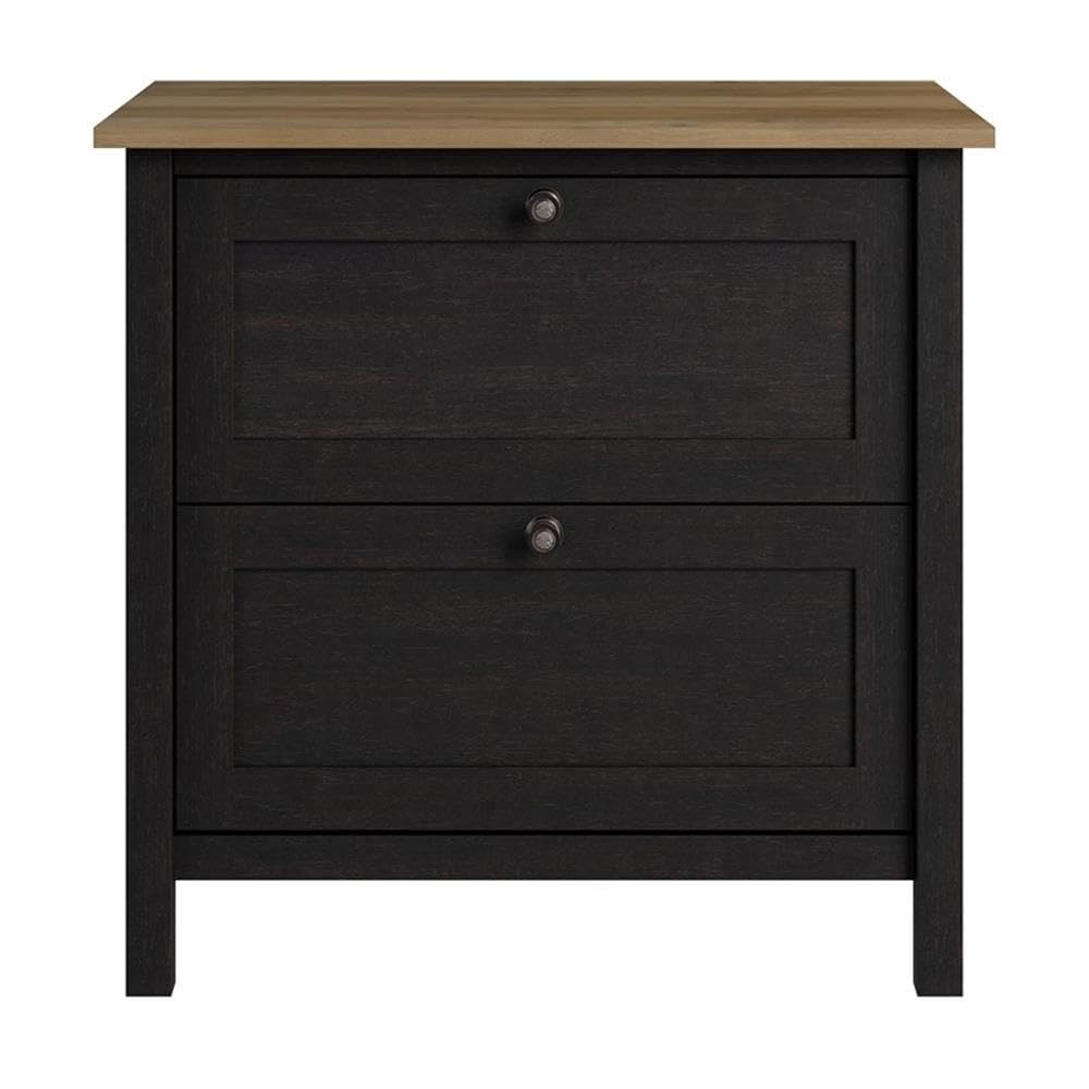 Mayfield 2 Drawer Lateral File Cabinet in Vintage Black