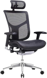 Dreem XL Ergonomic Office Chair - Mesh Hi Back Executive Desk Chair - Polished Alumimum Base