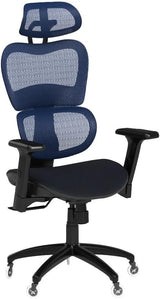 Ergo3D Ergonomic Office Chair Lumbar Support Mesh Office Chair with 4D Adjustable