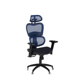 Ergo3D Ergonomic Office Chair Lumbar Support Mesh Office Chair with 4D Adjustable