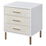 Wooden Storage Nightstand in White and Champagne and Gold
