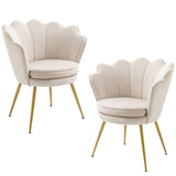 Velvet Accent Chairs Set of 2, Modern Armchairs for Living Room Bedroom, Tufted Vanity