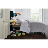 1 Piece Platinum Down Alternative Comforter Twin Size Silver Gray Shade reversible cozy fluffy