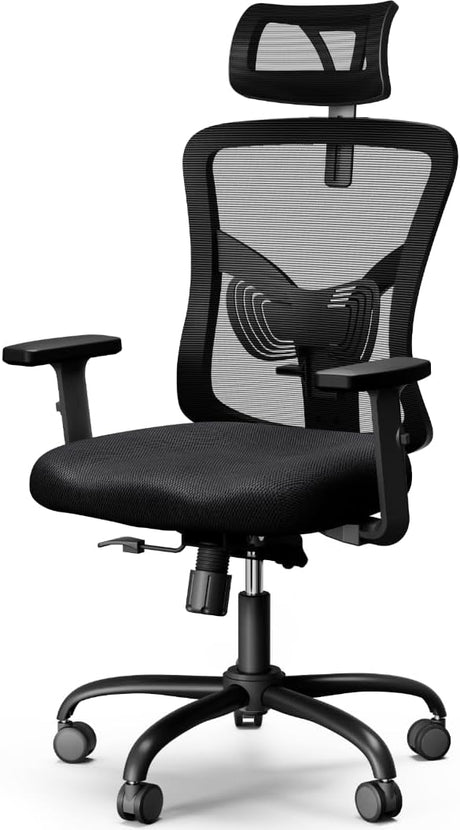 Ergonomic Office Chair, Desk Chair with 2'' Adjustable Lumbar Support, Headrest,