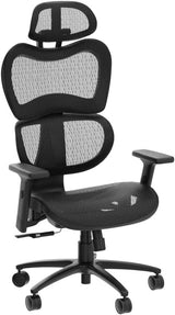 Mesh Ergonomic Office Chair Lumbar Support, High Back Mesh Computer Chair with Adjustable