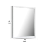 Benjara Noe 40 Inch Modern Mirror, Wood Frame, Portrai