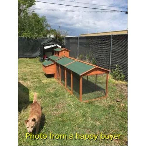 10' ft Wood Chicken Coop Backyard Hen Run House Chicken 6 Nesting Box & Run