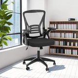 naspaluro Ergonomic Office Chair, Mid Back Desk Chair with Adjustable Height, Swivel Chair with Flip-Up Arms and Lumbar Support, Breathable Mesh Computer Chair for Home/Study/Working, Dark Black