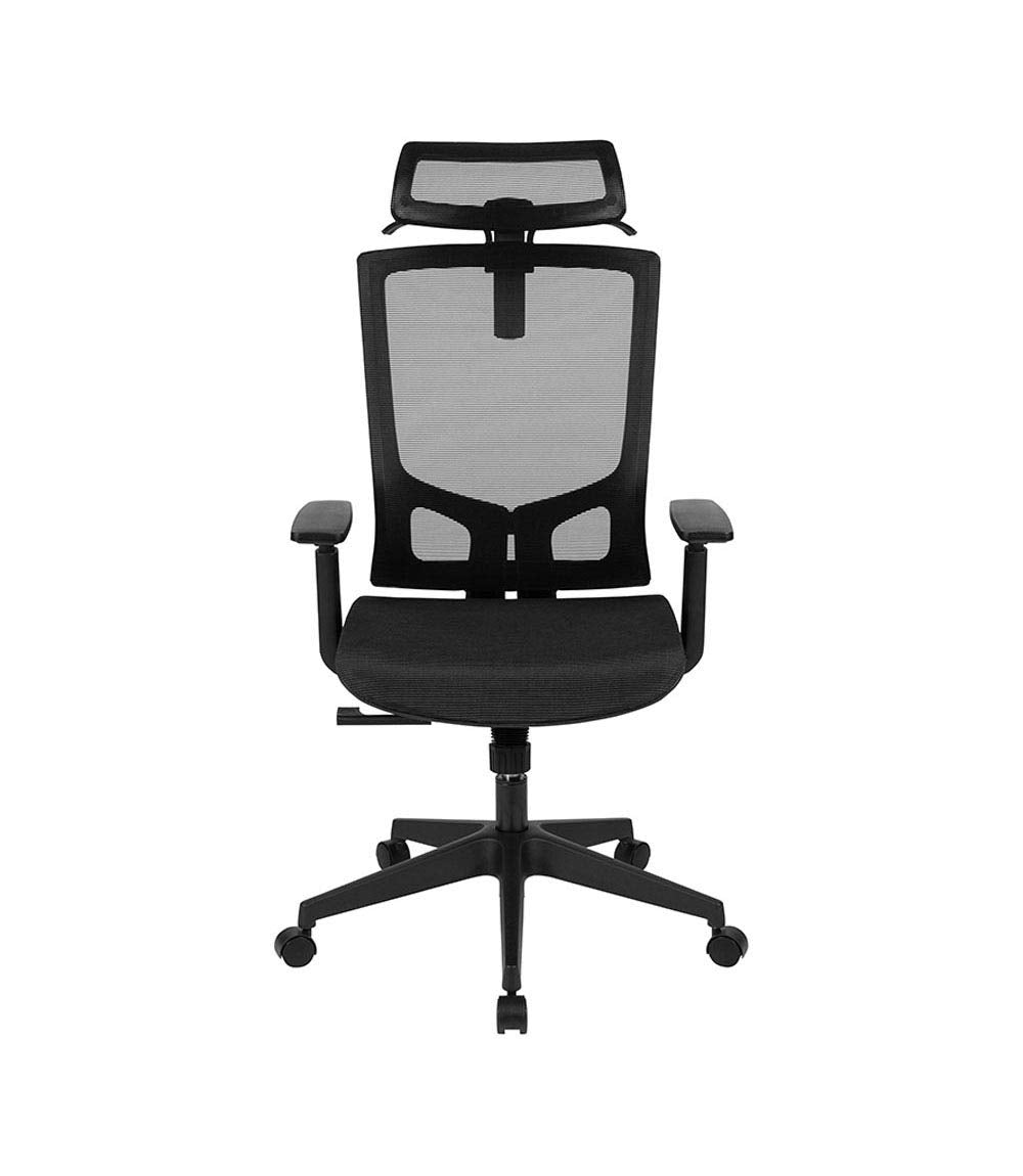 Ergonomic Mesh Office Chair with Synchro-Tilt, Pivot Adjustable Headrest, Lumbar