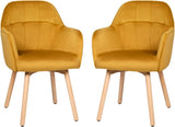 Modern Velvet Arm Dining Chairs Set of 2, Cute Chairs w/Solid Wood, Non-Slip Foot Pads