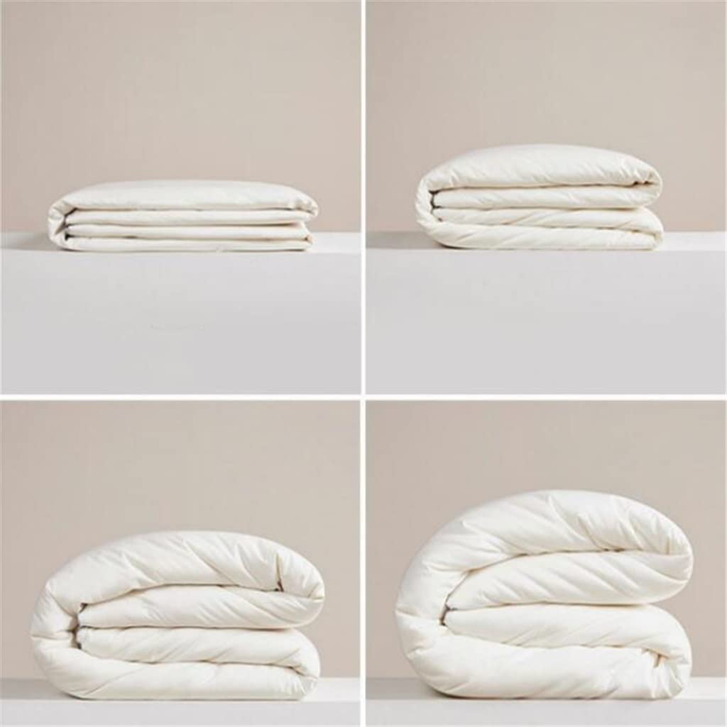 Cotton Fiber Quilt Spring and Autumn Quilt Warm Quilt Thick Winter Quilt Core