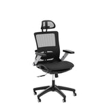 Ergonomic Mesh Office Chair with Footrest, High Back Computer Executive Desk Chair