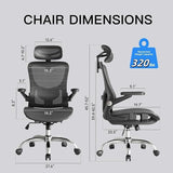 Ergonomic Office Chair, Ergonomic Chair with 3D Headrest