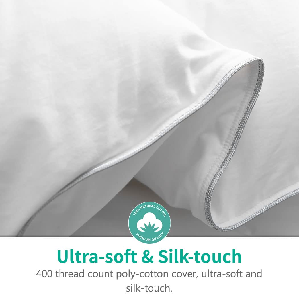 APSMILE Luxury Feathers Down Comforter Oversized Queen Size, Ultra-Soft 750 Fill-Power Duvet Insert for Winter, Heavy Weight Comforter, Fluffy Down Comforter for Bed (98x98, White)