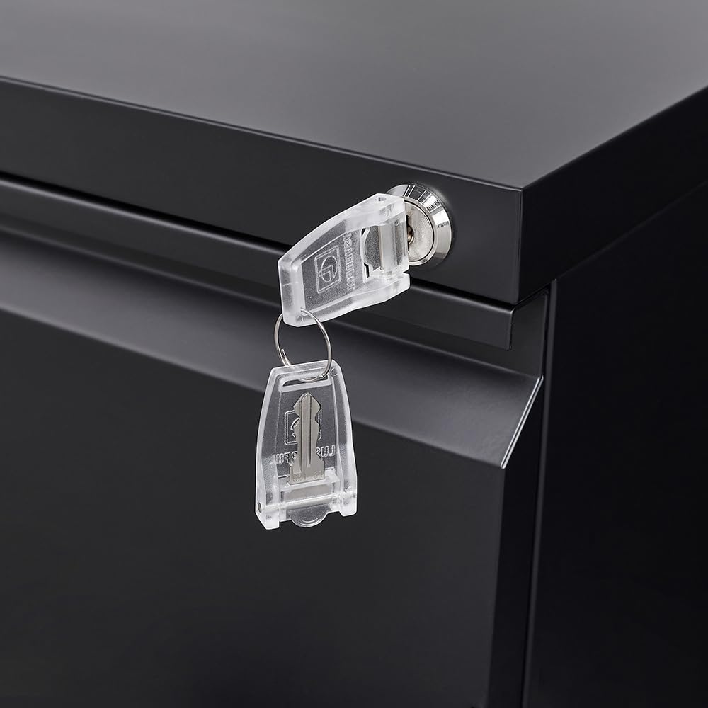 2-Drawer Mobile File Cabinet with Lock, Commercial Vertical Cabinet