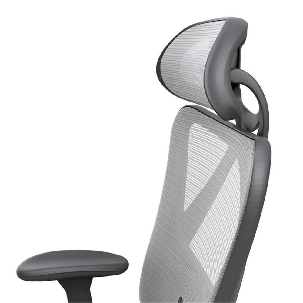 Furniture of America Domie Metal and Mesh Adjustable Office Chair in Gray