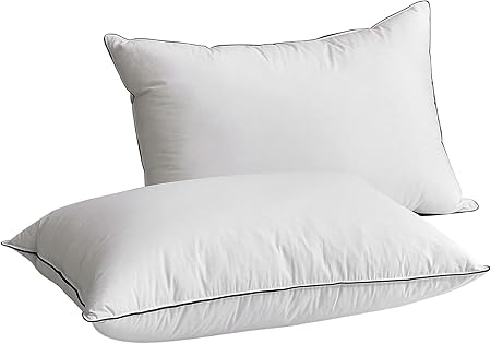 Hungarian Goose Down Pillow Queen Size, Ultimate Comfort 750+ Fill Power