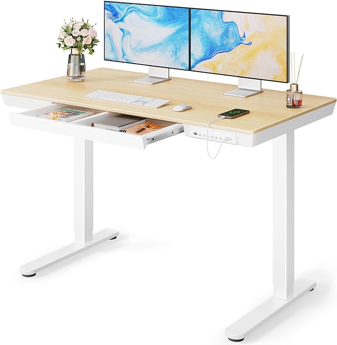 Standing Desk with Drawer, 48 x 24 inch Whole Piece Tabletop Electric Standing Desk