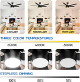 52 Inch Smart Ceiling Fan, DC Reversible Motor Noiseless Timing 3CCT Dimmable, Black