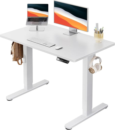 Electric Standing Desk, 48" x 24" Whole Piece Desktop, Adjustable Height Computer Desk, 4 Height Memory Settings, Sit Stand Up Desk for Home Office, White