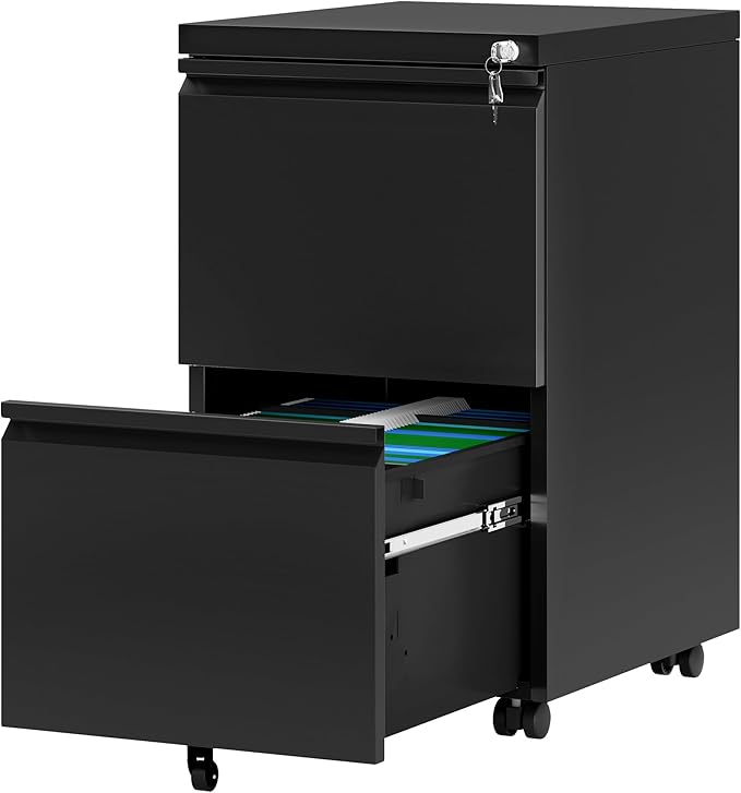 2 Drawer File Cabinet with Lock, 20” Deep Office Vertical Files, Mobile Metal Filing Cabinet