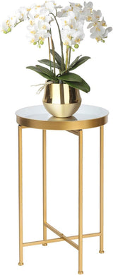 Side Table 2-Tier Metal Round End Table with Removable Tray (2-Tier Gold)