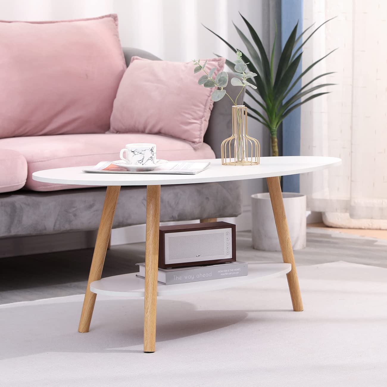 Oval Wood Coffee Table Modern Style Double Layer with Open Storage