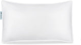 Authentic Luminesse™ Hypoallergenic 20x28 Inch Luxury SOFT Pillow for Sleeping,